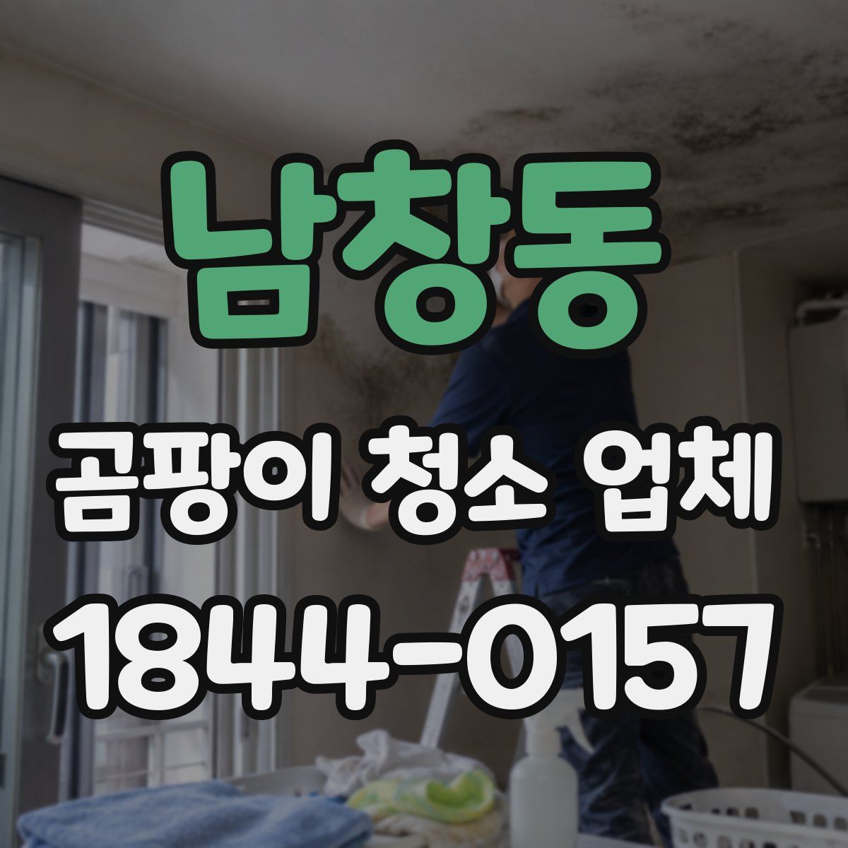 남창동 곰팡이 청소 업체