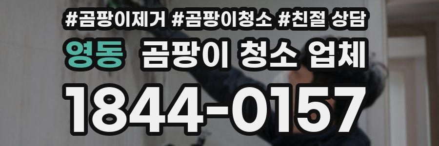 영동 곰팡이 청소 업체