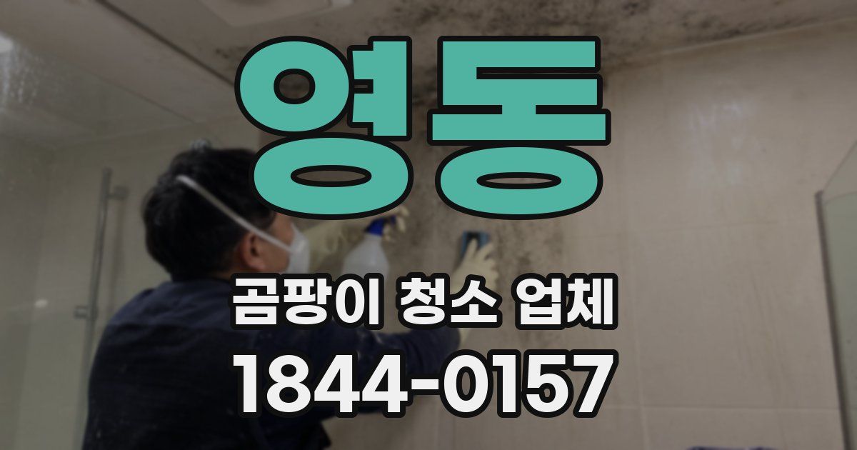 영동 곰팡이 청소 업체