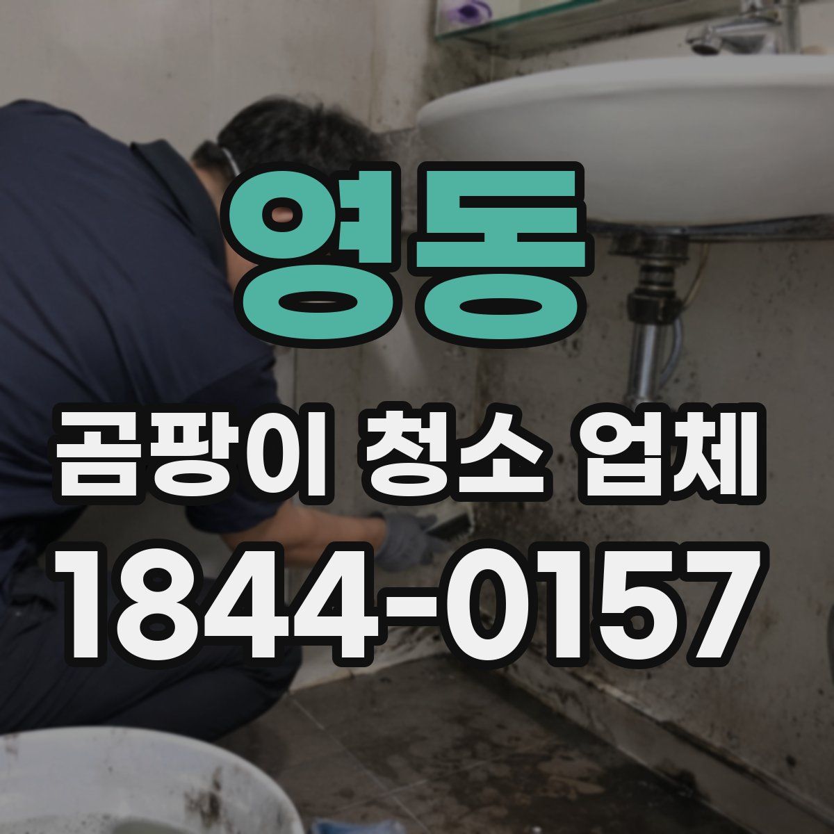 영동 곰팡이 청소 업체
