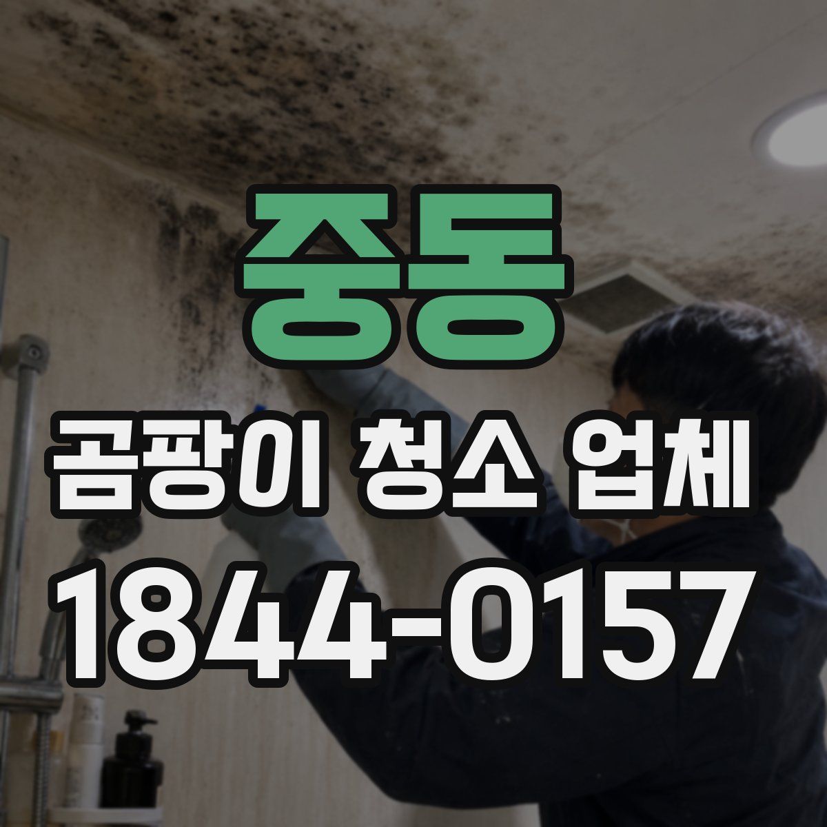 중동 곰팡이 청소 업체