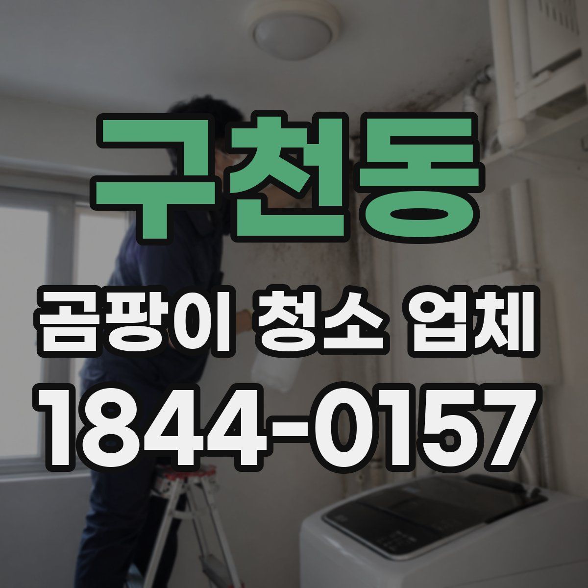구천동 곰팡이 청소 업체