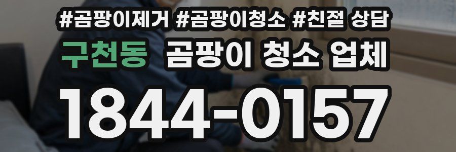 구천동 곰팡이 청소 업체