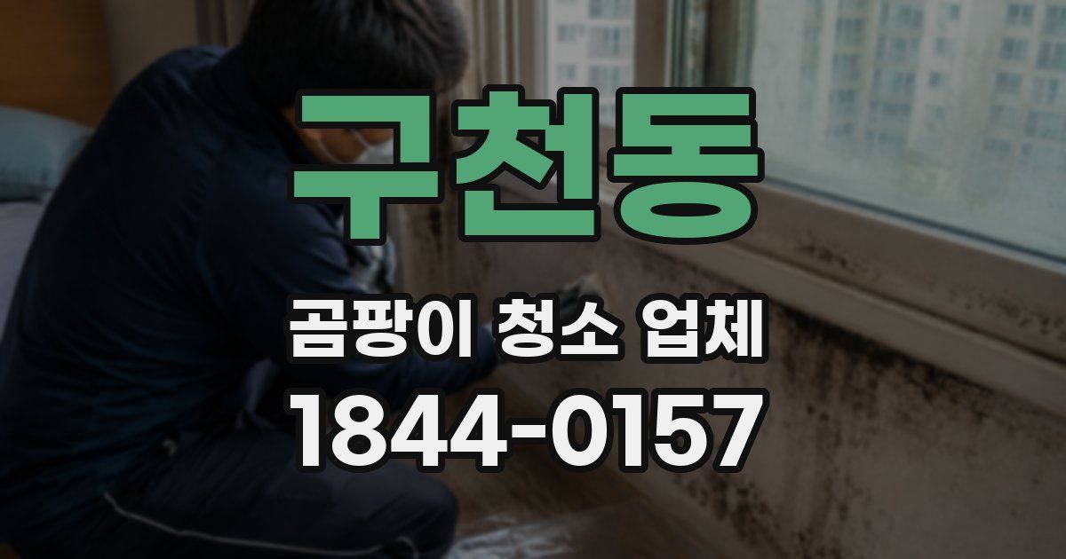 구천동 곰팡이 청소 업체