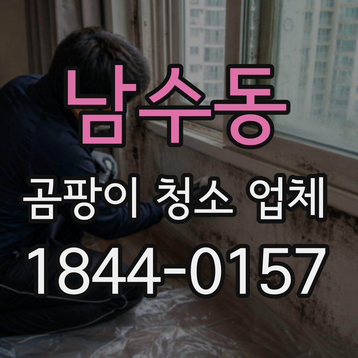 남수동 곰팡이 청소 업체