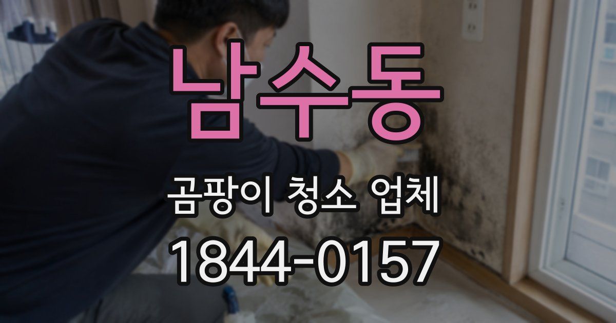 남수동 곰팡이 청소 업체