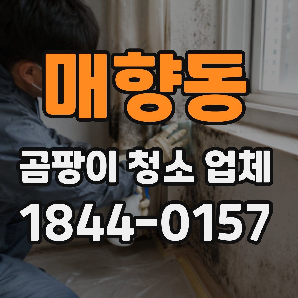 매향동 곰팡이 청소 업체 작업 절차별 차이 알아보기