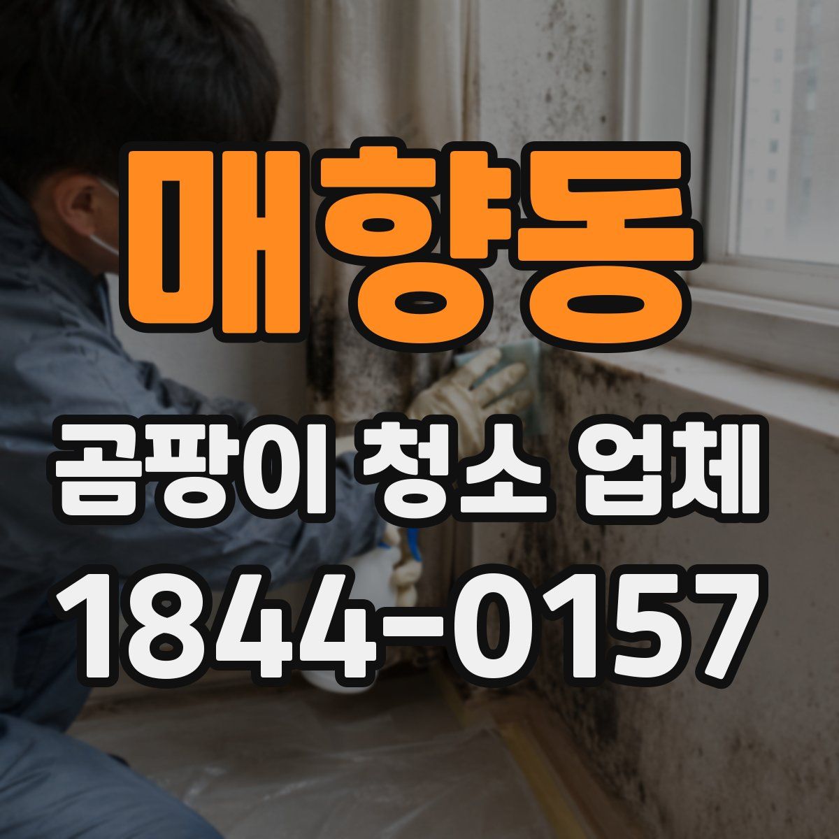 매향동 곰팡이 청소 업체