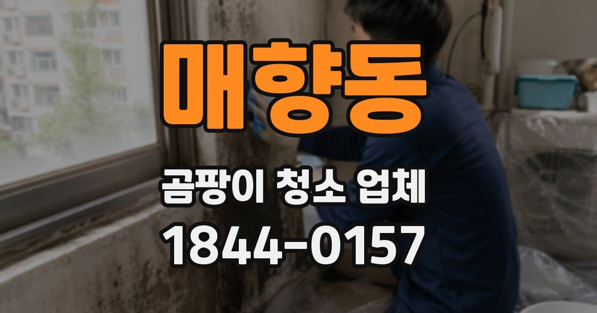 매향동 곰팡이 청소 업체