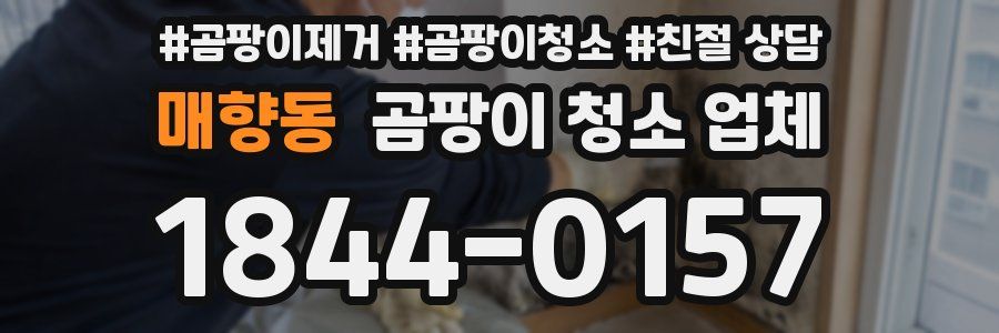 매향동 곰팡이 청소 업체