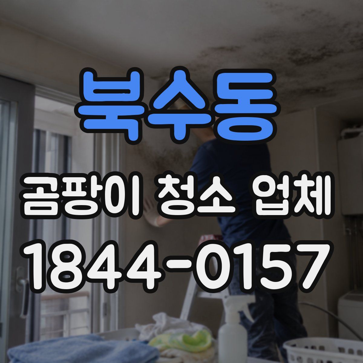 북수동 곰팡이 청소 업체