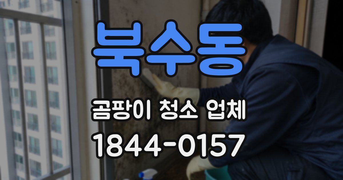 북수동 곰팡이 청소 업체