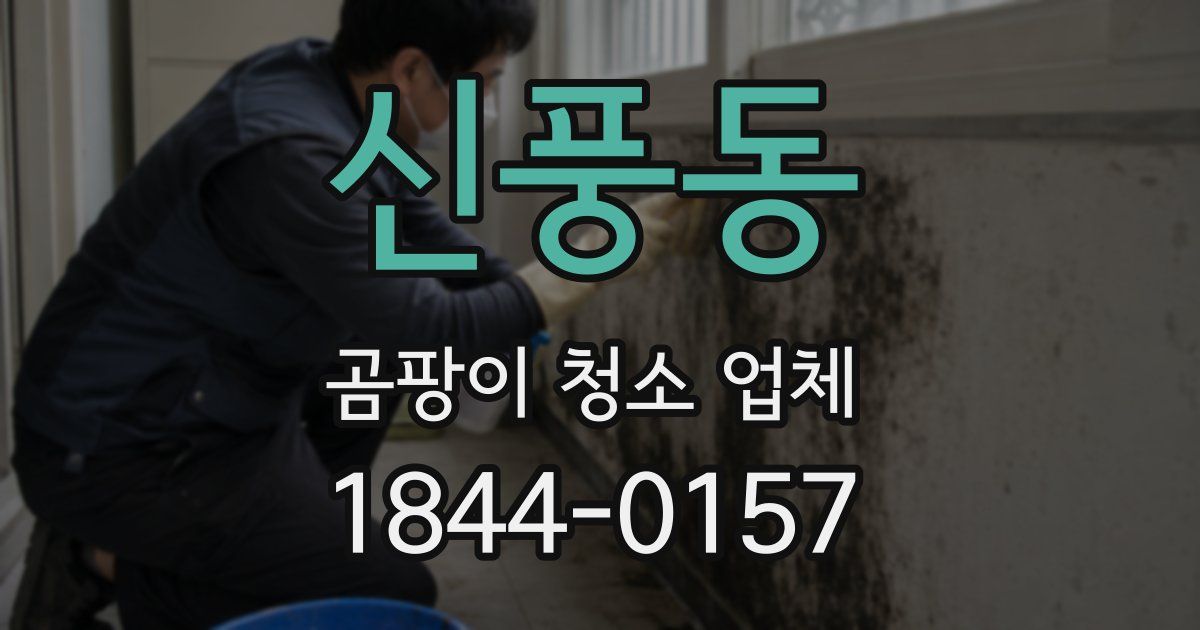 신풍동 곰팡이 청소 업체