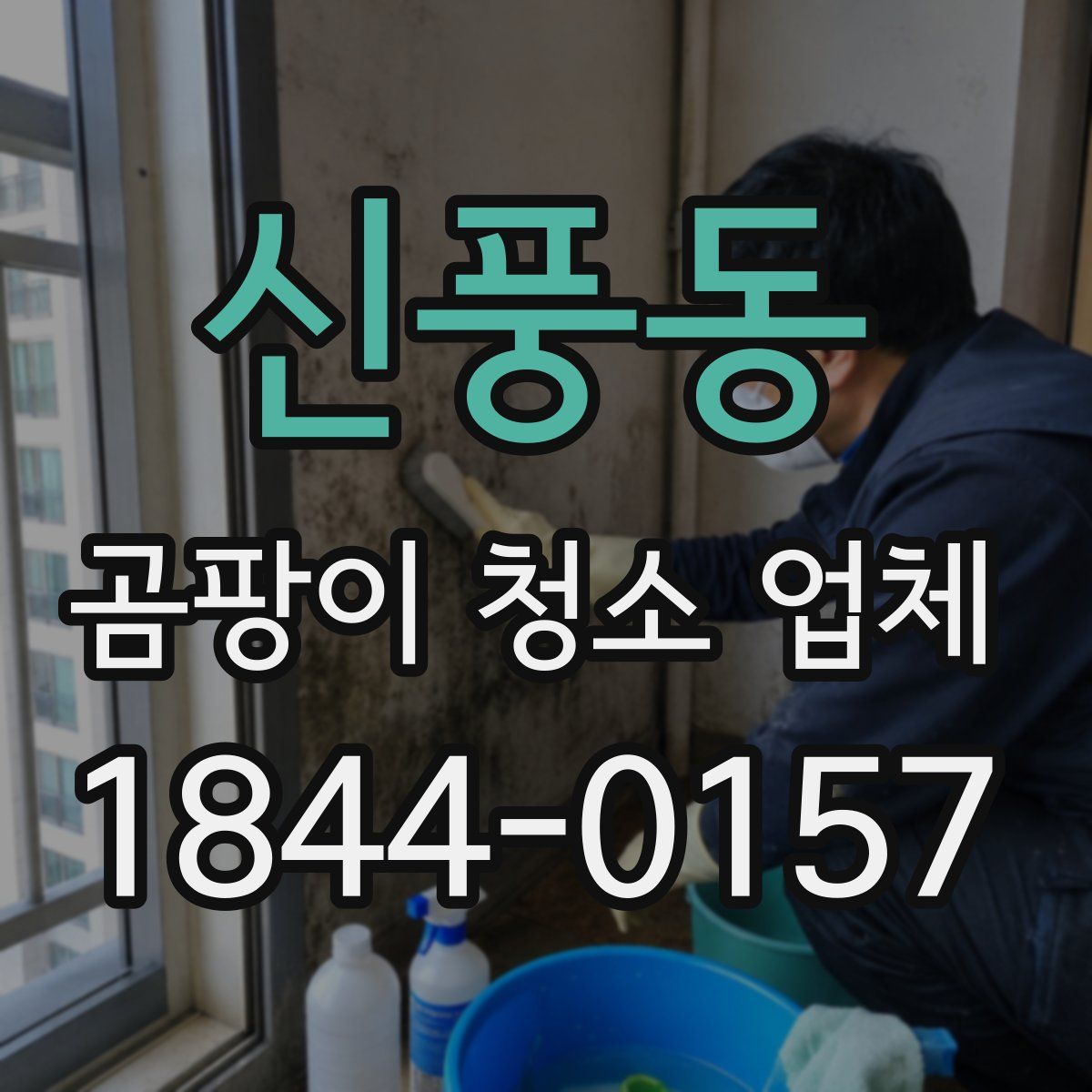 신풍동 곰팡이 청소 업체