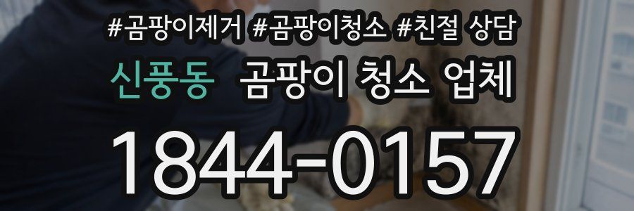 신풍동 곰팡이 청소 업체
