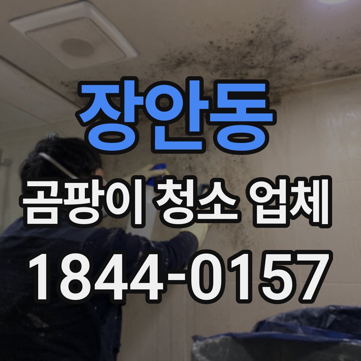 장안동 곰팡이 청소 업체
