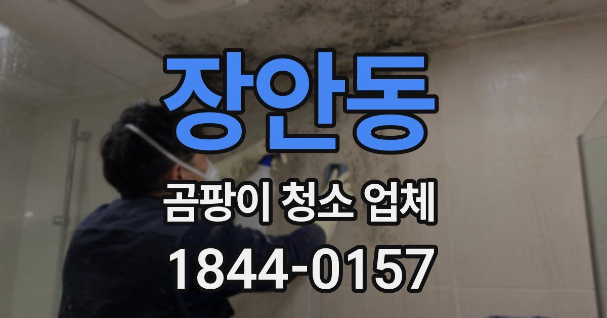 장안동 곰팡이 청소 업체