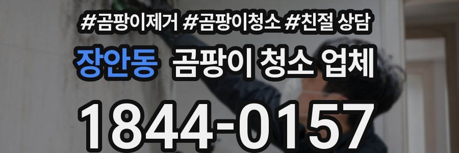 장안동 곰팡이 청소 업체