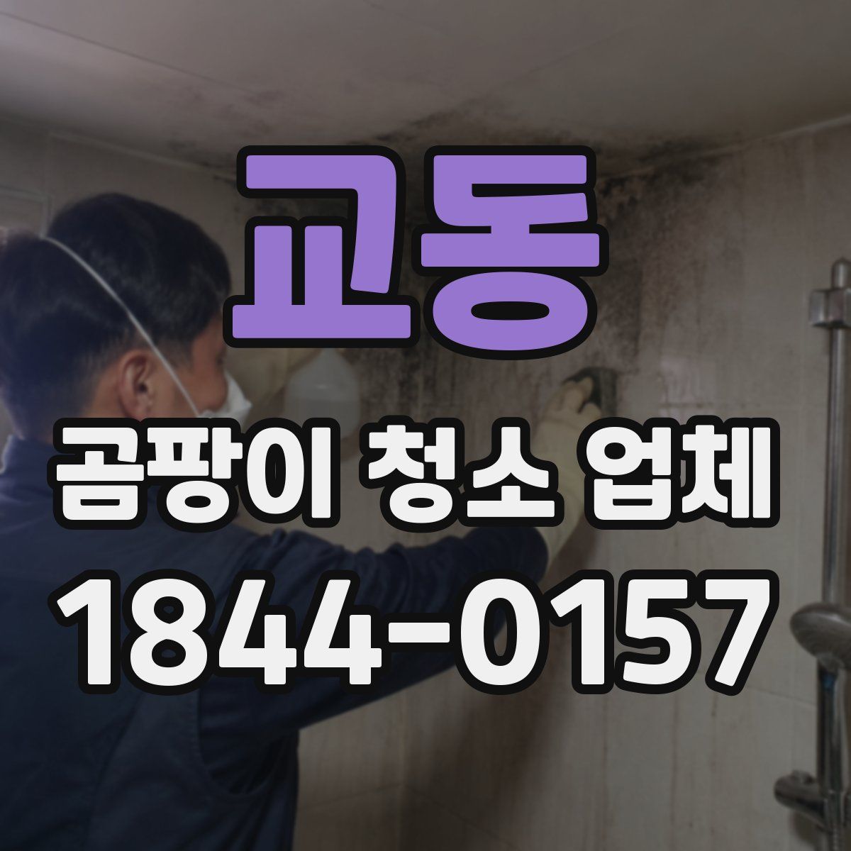 교동 곰팡이 청소 업체