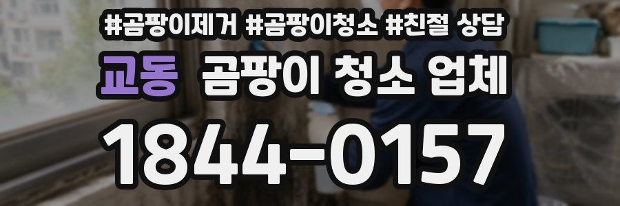 교동 곰팡이 청소 업체