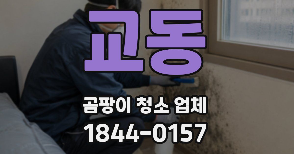 교동 곰팡이 청소 업체