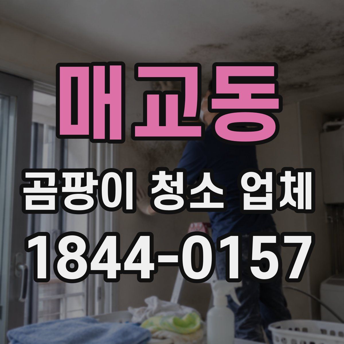 매교동 곰팡이 청소 업체