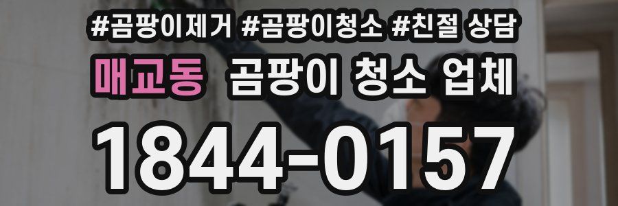 매교동 곰팡이 청소 업체