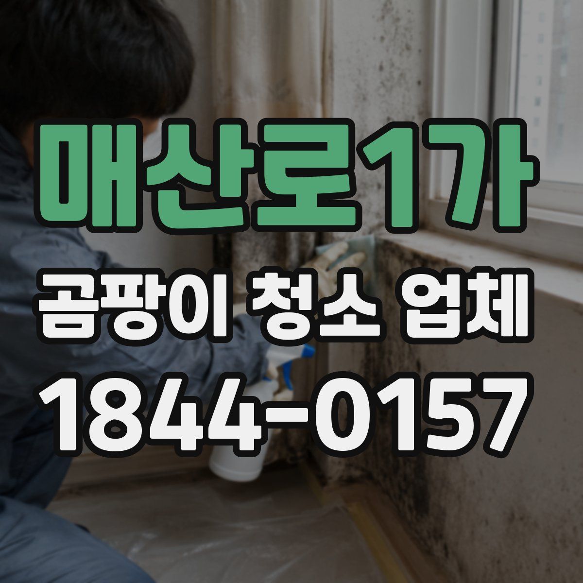 매산로1가 곰팡이 청소 업체