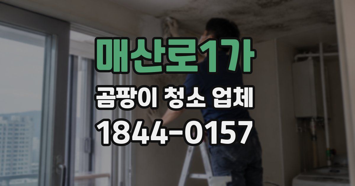 매산로1가 곰팡이 청소 업체