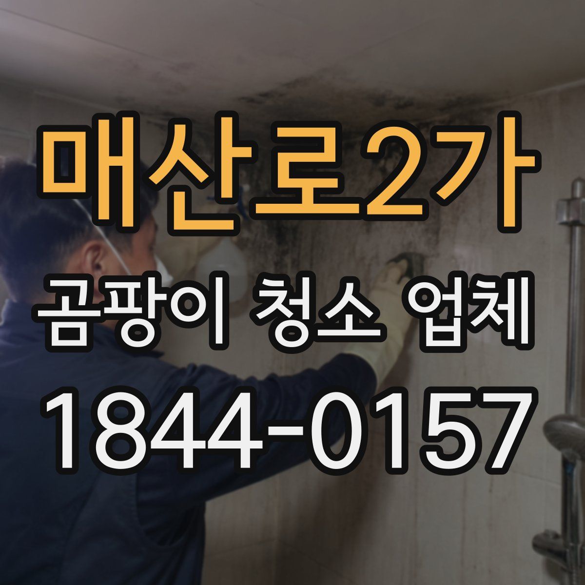 매산로2가 곰팡이 청소 업체