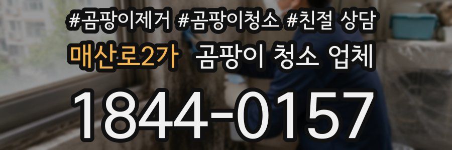 매산로2가 곰팡이 청소 업체