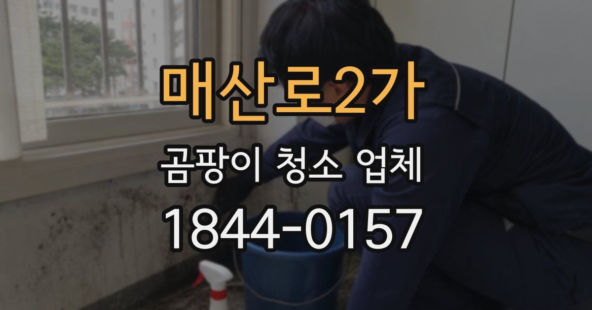 매산로2가 곰팡이 청소 업체