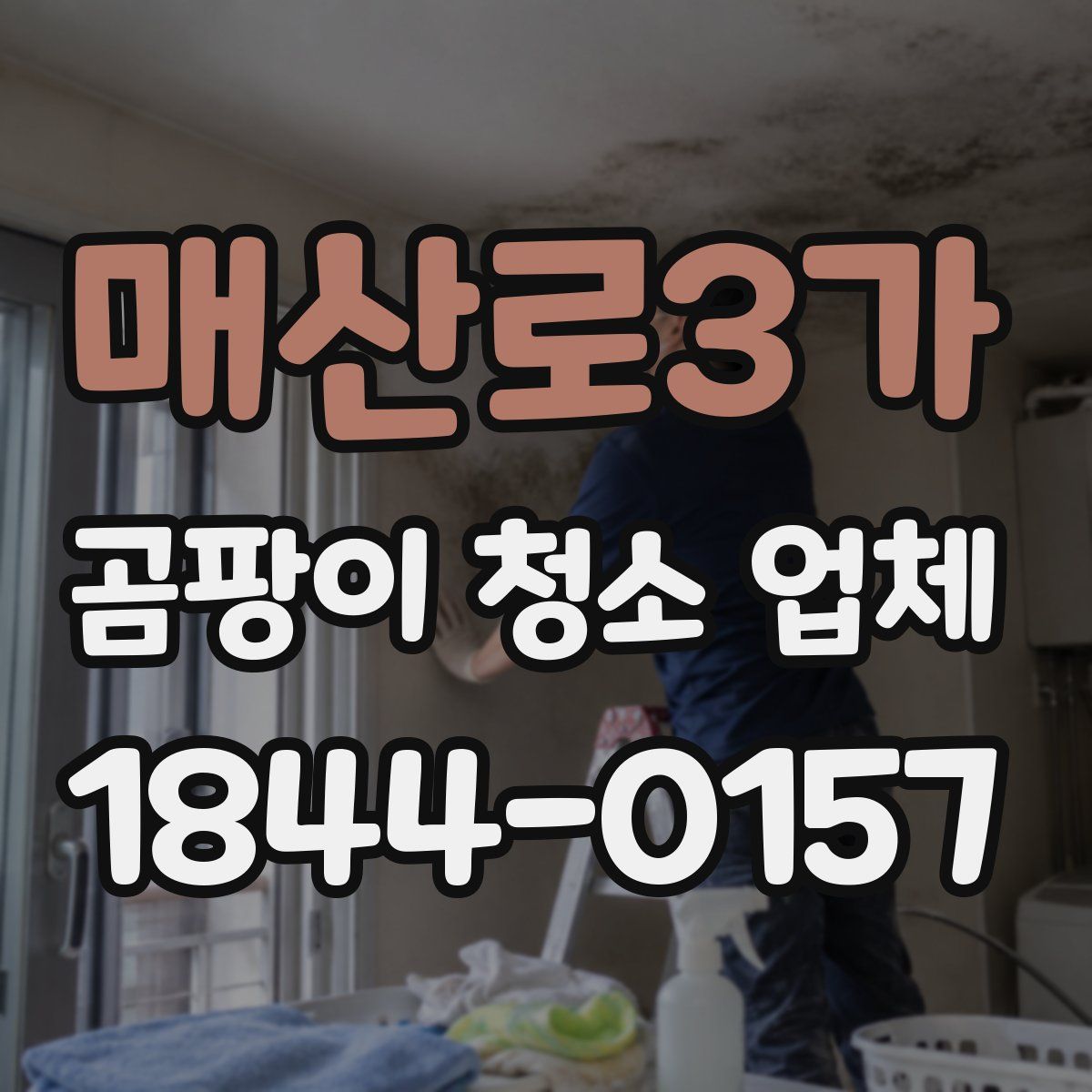 매산로3가 곰팡이 청소 업체
