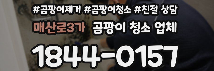 매산로3가 곰팡이 청소 업체