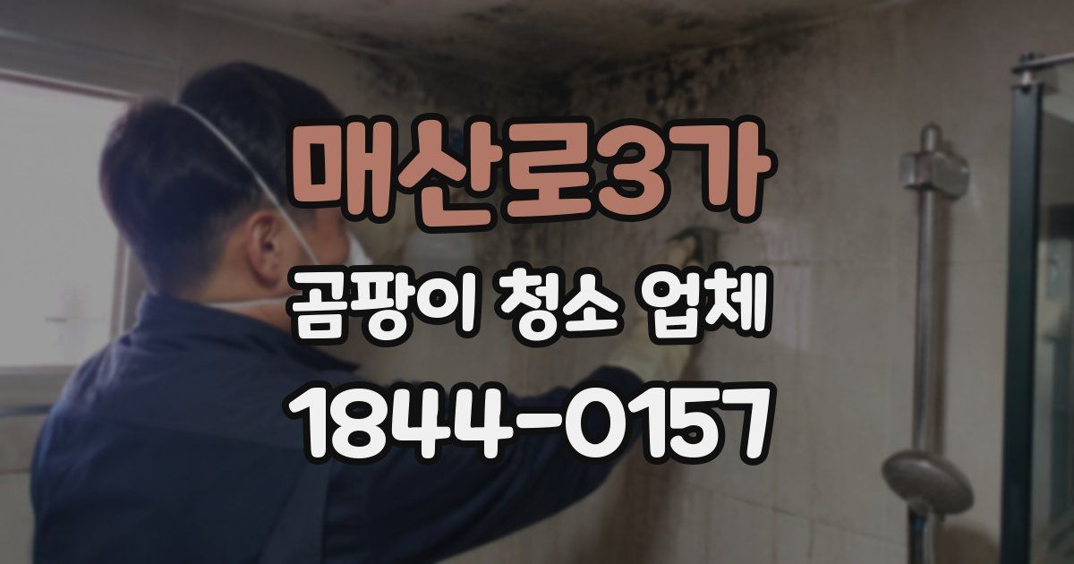 매산로3가 곰팡이 청소 업체