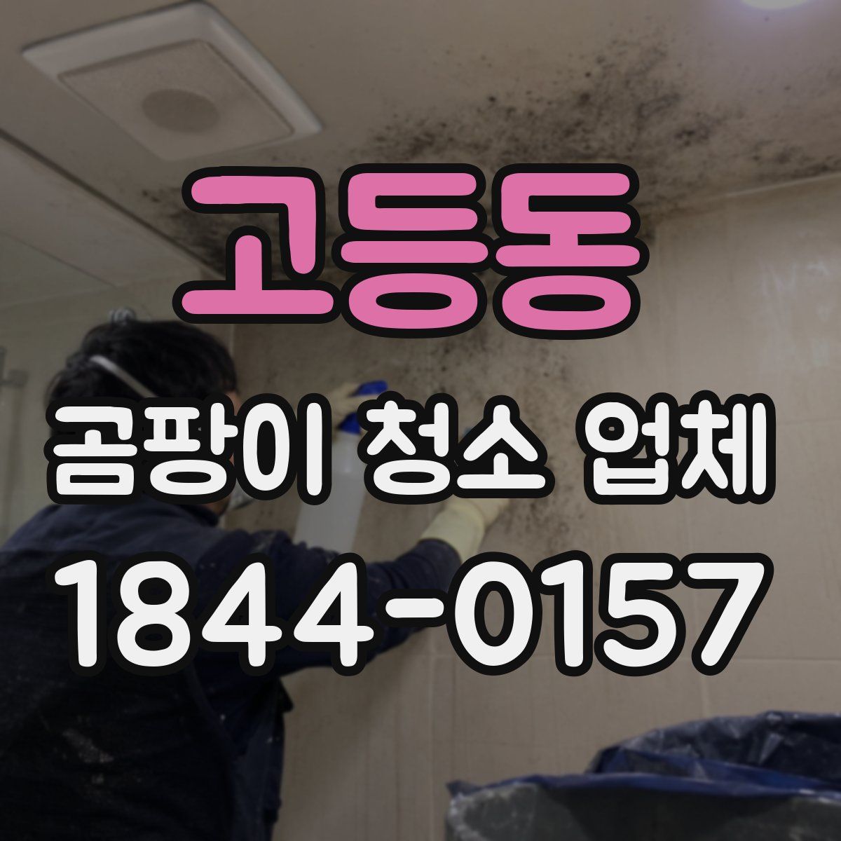 고등동 곰팡이 청소 업체