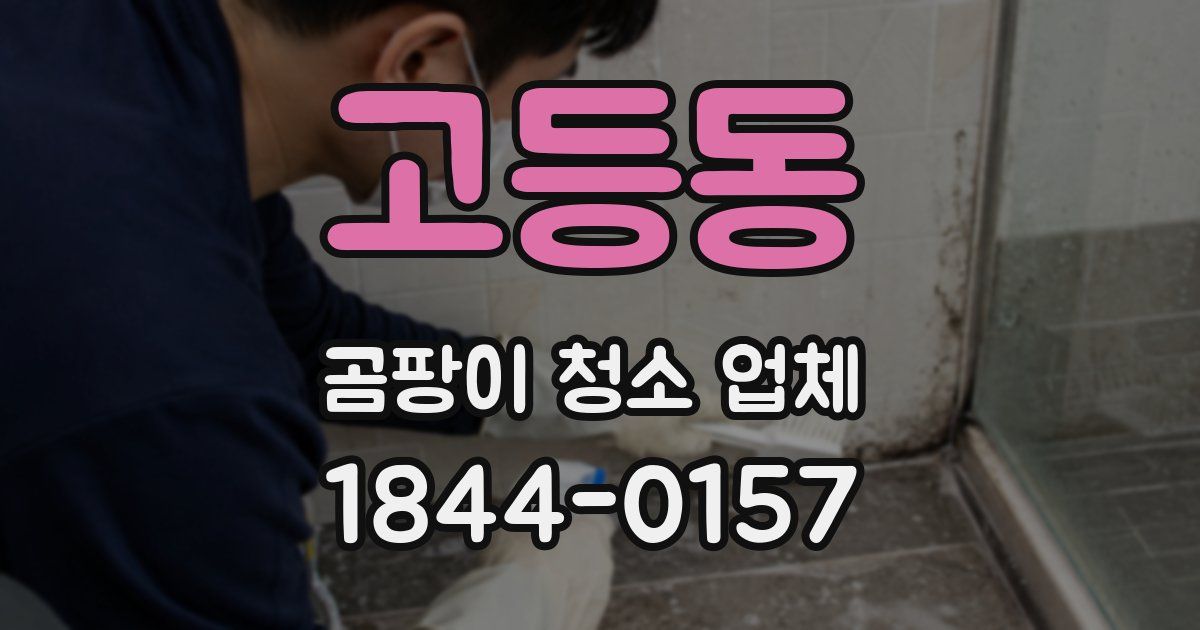 고등동 곰팡이 청소 업체