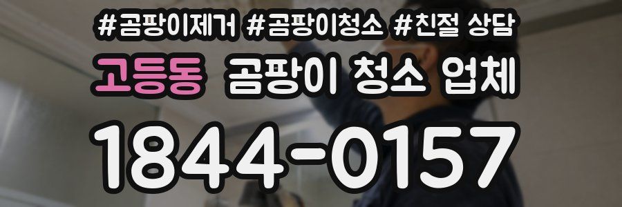 고등동 곰팡이 청소 업체