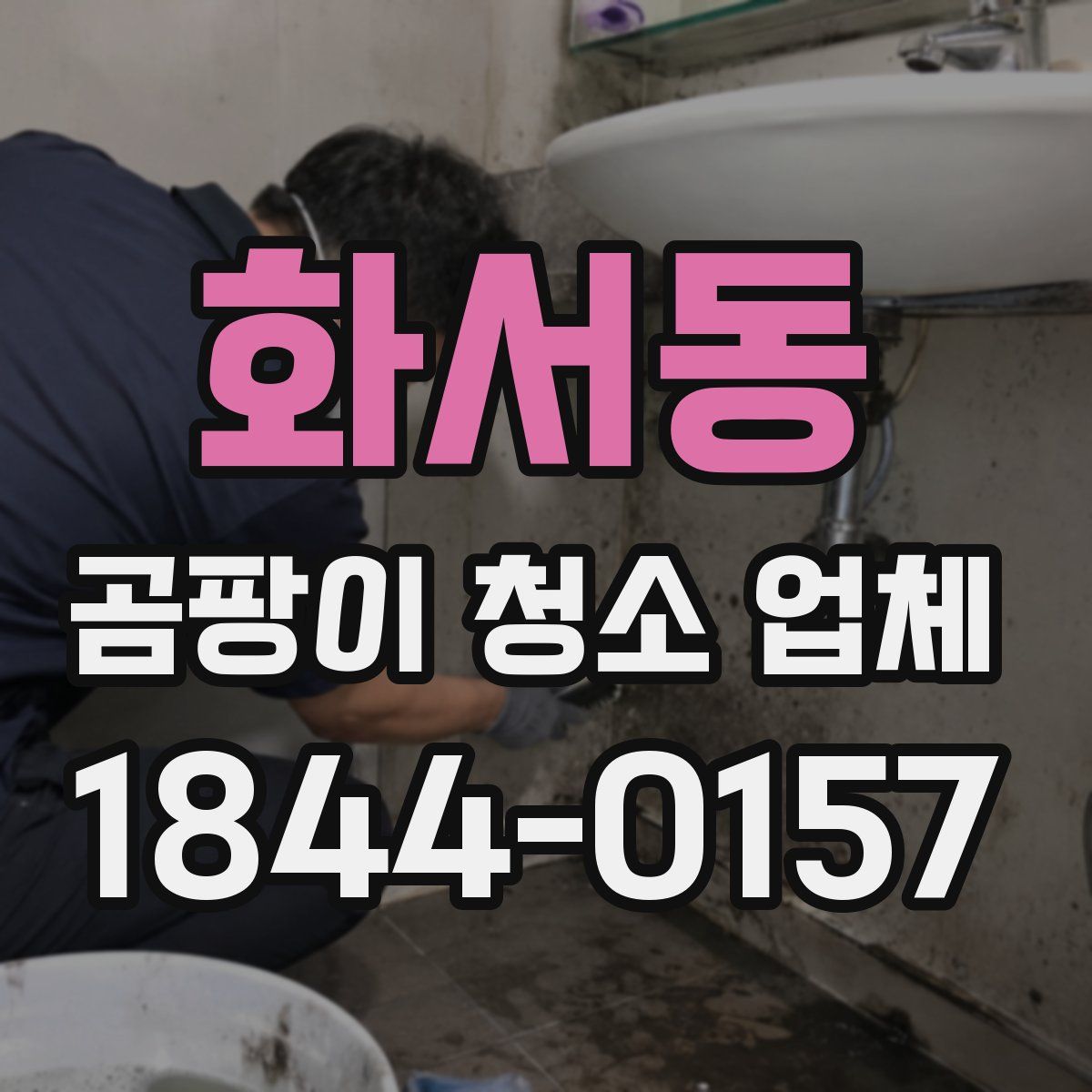 화서동 곰팡이 청소 업체