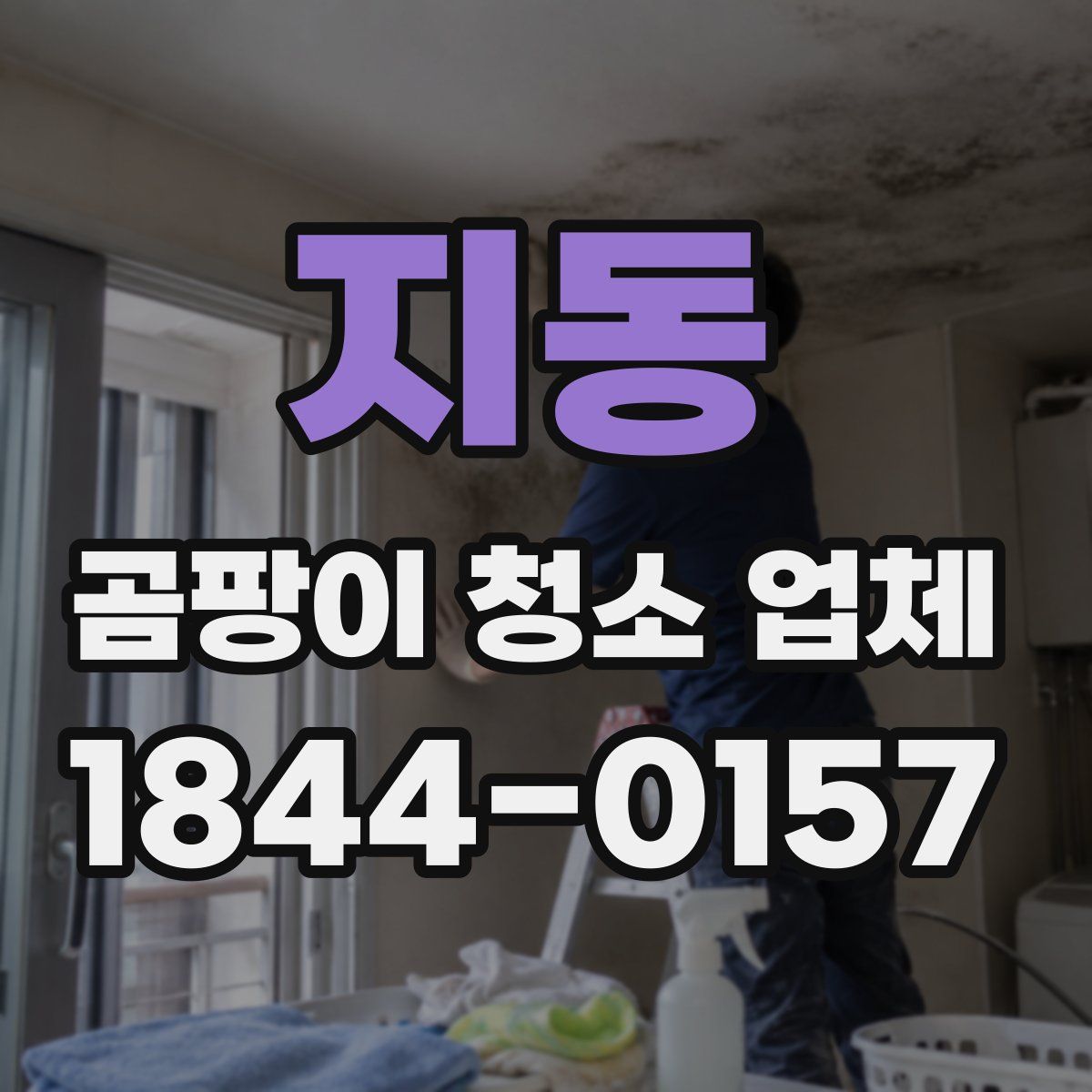 지동 곰팡이 청소 업체
