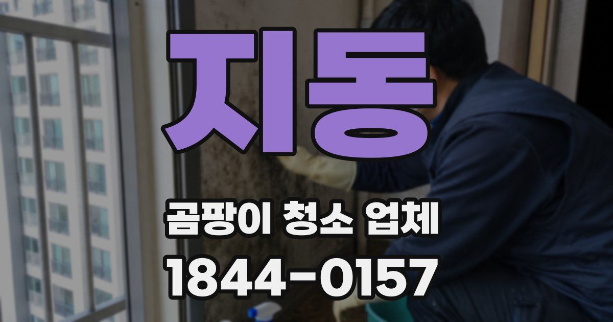 지동 곰팡이 청소 업체