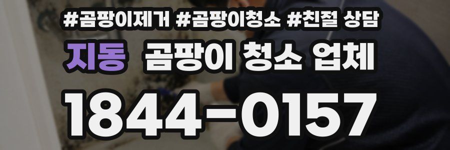 지동 곰팡이 청소 업체