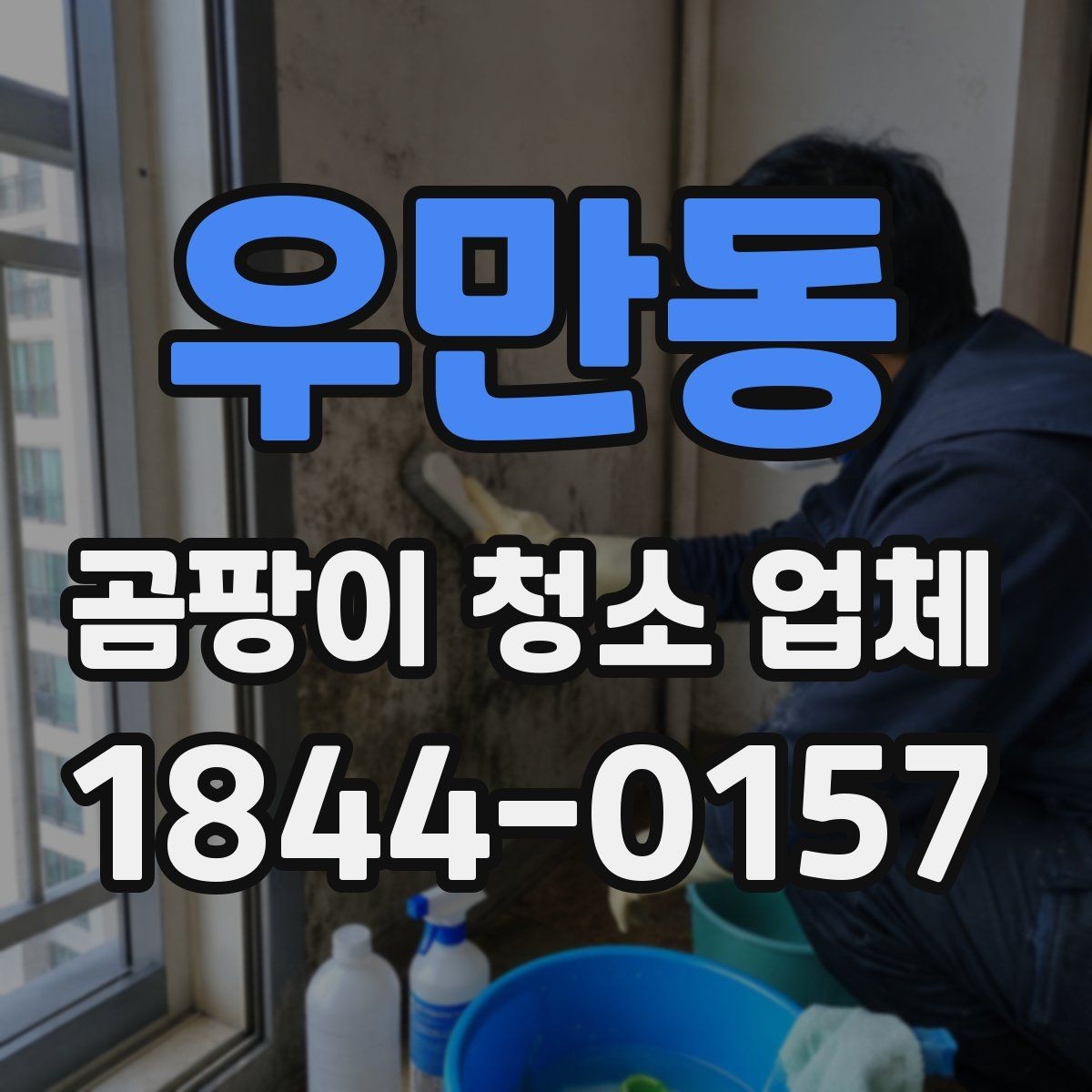 우만동 곰팡이 청소 업체 이용 시 안전장비와 보호조치