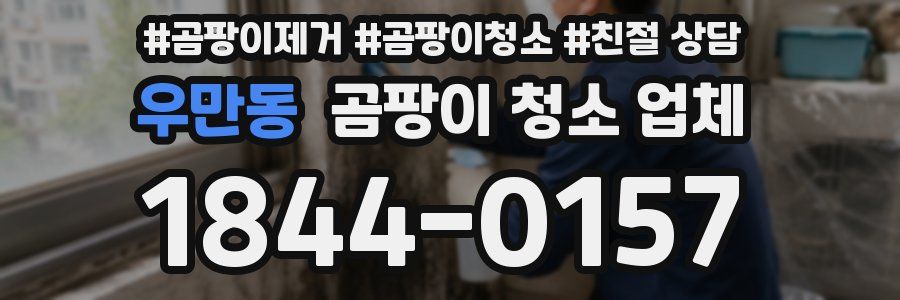 우만동 곰팡이 청소 업체