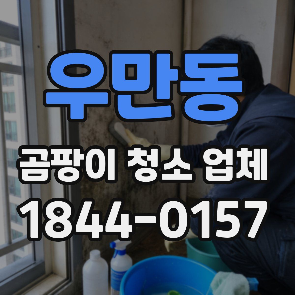 우만동 곰팡이 청소 업체