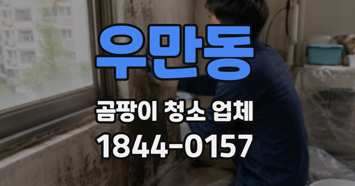우만동 곰팡이 청소 업체