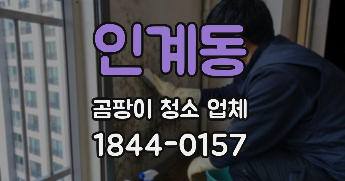 인계동 곰팡이 청소 업체