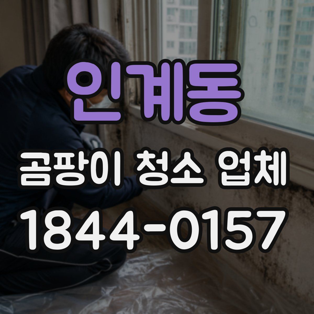 인계동 곰팡이 청소 업체