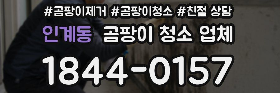 인계동 곰팡이 청소 업체