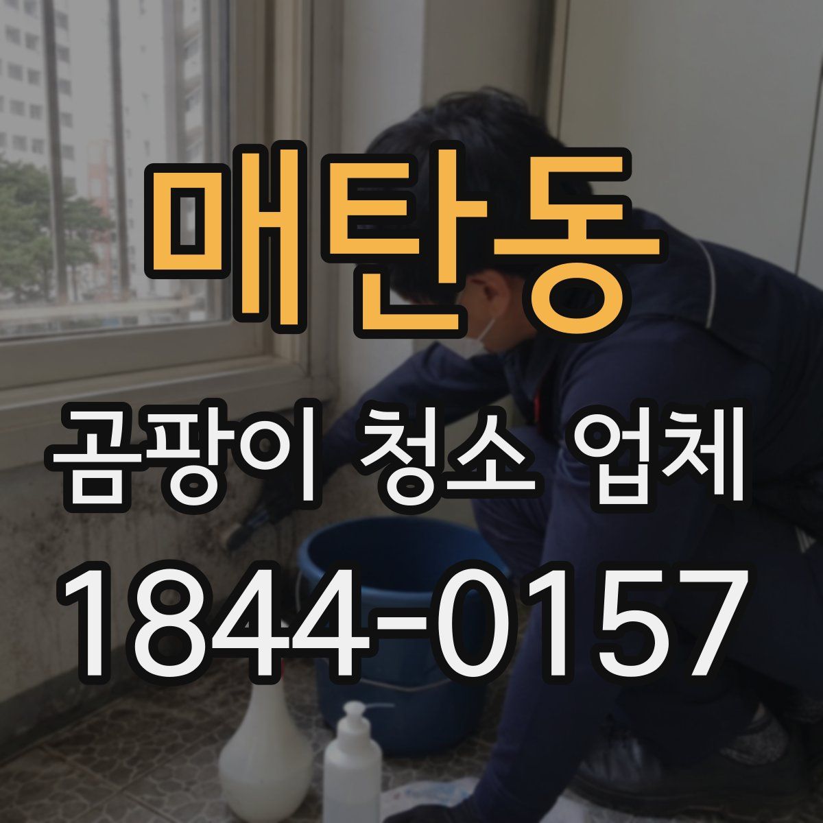 매탄동 곰팡이 청소 업체